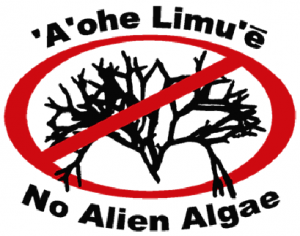 A'ohe Limu'e No Alien Algae Logo