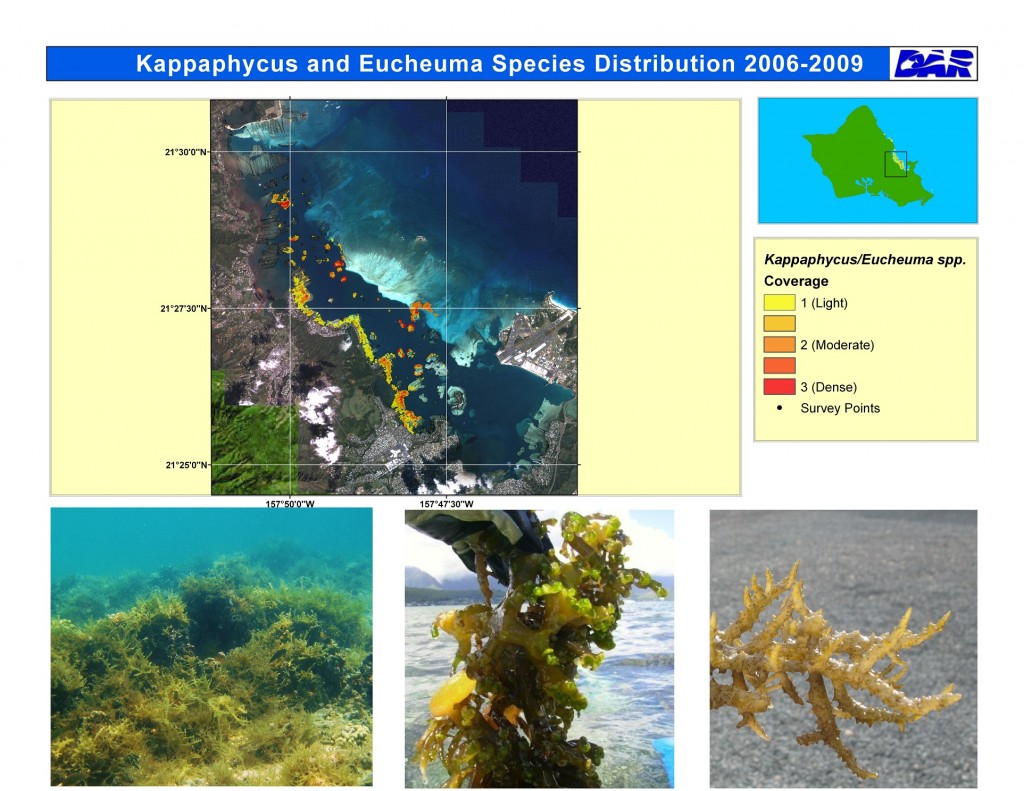 Kappa_KaneoheBay2-with-pics