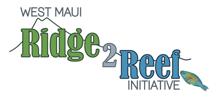 West Maui Ridge 2 Reef