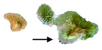 Arrow pointing to Molokina on the south side of Maui
