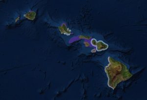 link to interactive MMA map