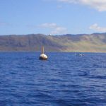 fish aggregating device