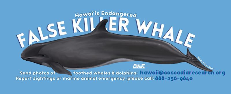 false killer whale reporting request