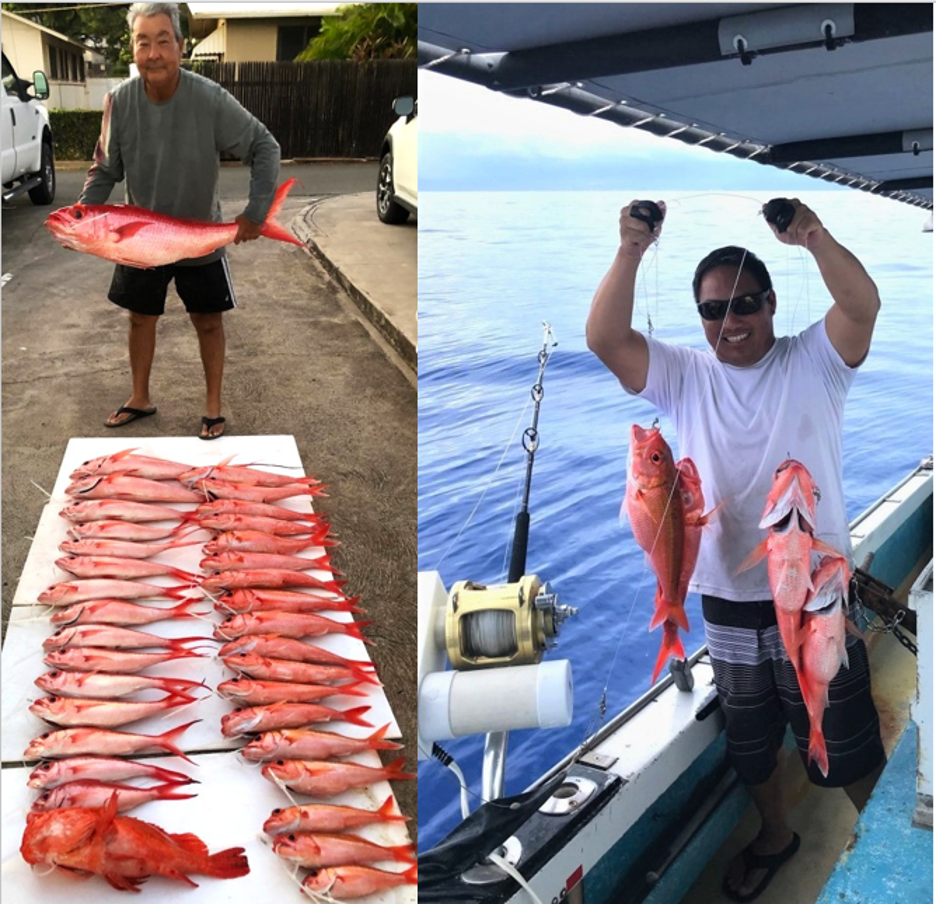 commercial bottom fishers