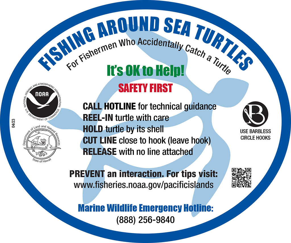 fishing around sea turtles sticker
