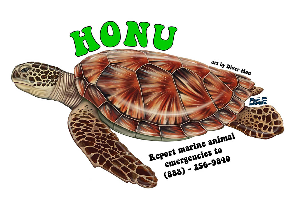 honu sticker