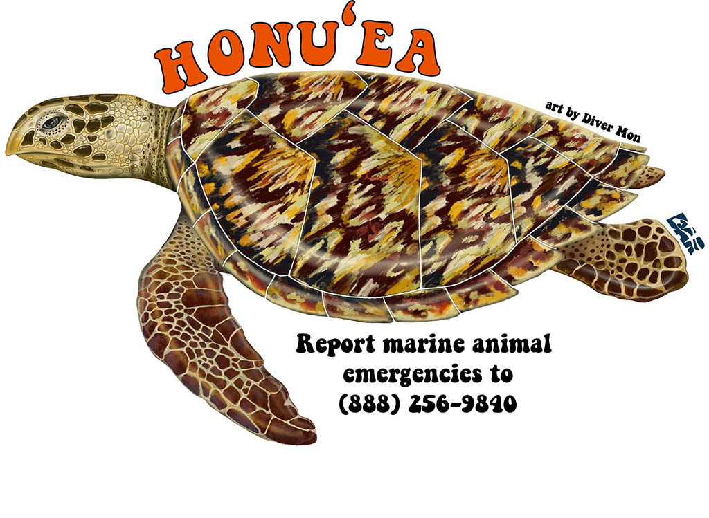 hawksbill sticker