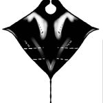 Manta Ray Finger Puppet