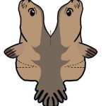 Monk Seal Finger Puppet