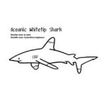 Protected Species Postcards