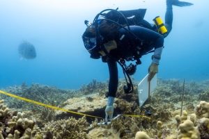Anita conducting coral health surveys at Kapou. Photo credit: Nick Zachar- NOAA