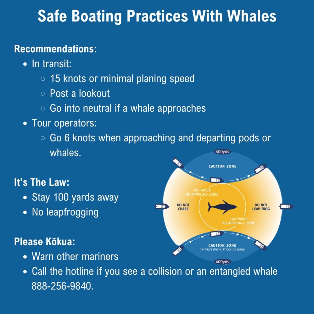 an image showing the recommendations of safe boating practices from the main whale page.