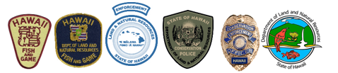 Division of Conservation and Resources Enforcement logo
