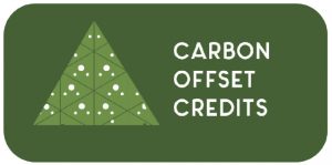 A graphic regarding carbon offset credits