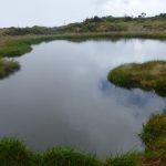 An image of water on Waialeale