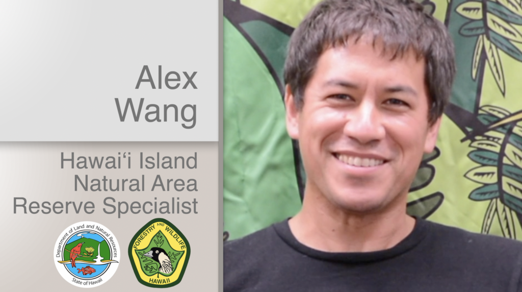 A thumbnail for the video Alex Wang Hawaiʻi Island Natural Area Reserve Specialist
