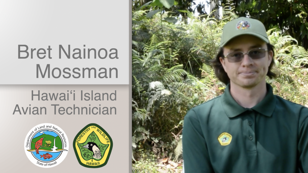 A thumbnail for the video Bret Nainoa Mossman Hawaiʻi Island Avian Technician
