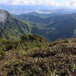An image of a forested Hawaiʻi landscape