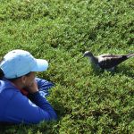 An image of a Kupu member and a bird