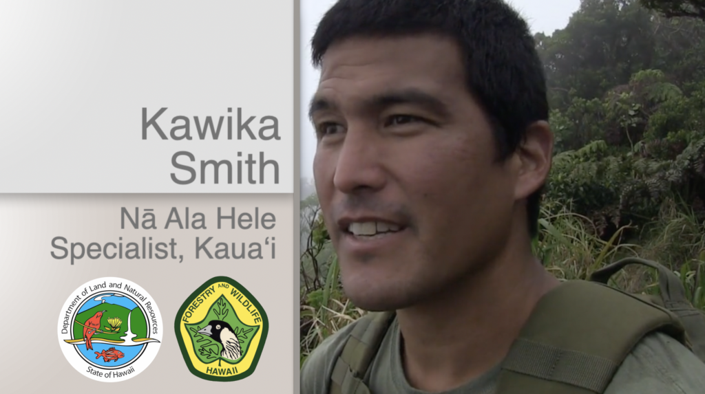 An image of DOFAW staff