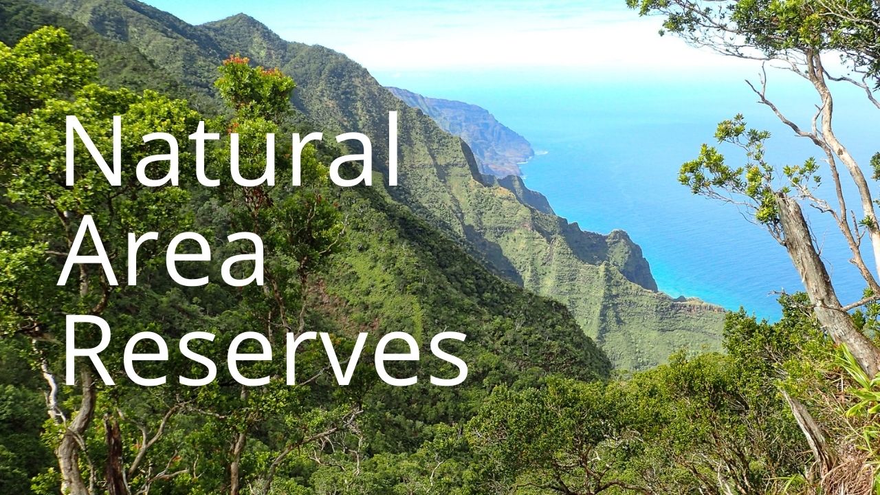 An image of north shore Kauaʻi