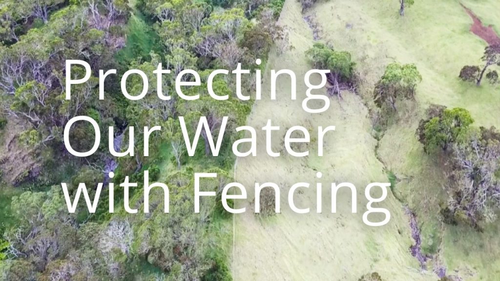 An image of a fenced and unfenced forest