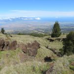 An image of Kamehamenui