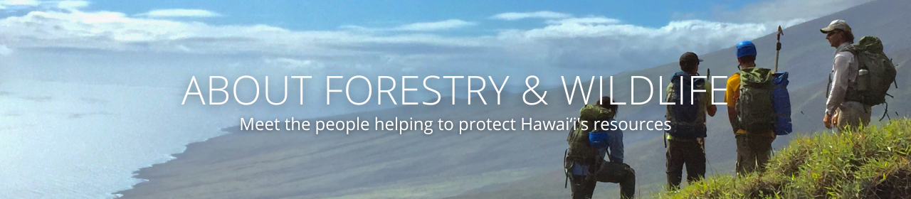 An image of field workers on a mountain