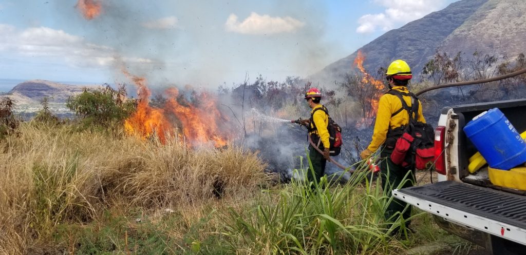 Forestry Program: Many of our staff are wildland firefighters