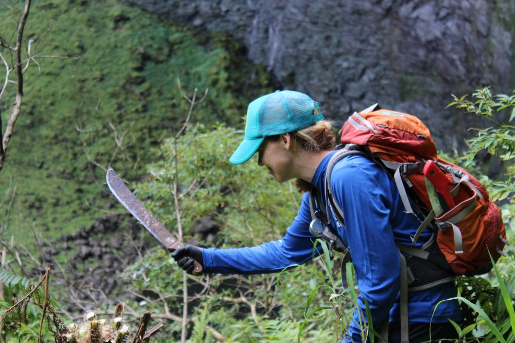 Native Ecosystems Program: Controlling invasive plants on Kauaʻi