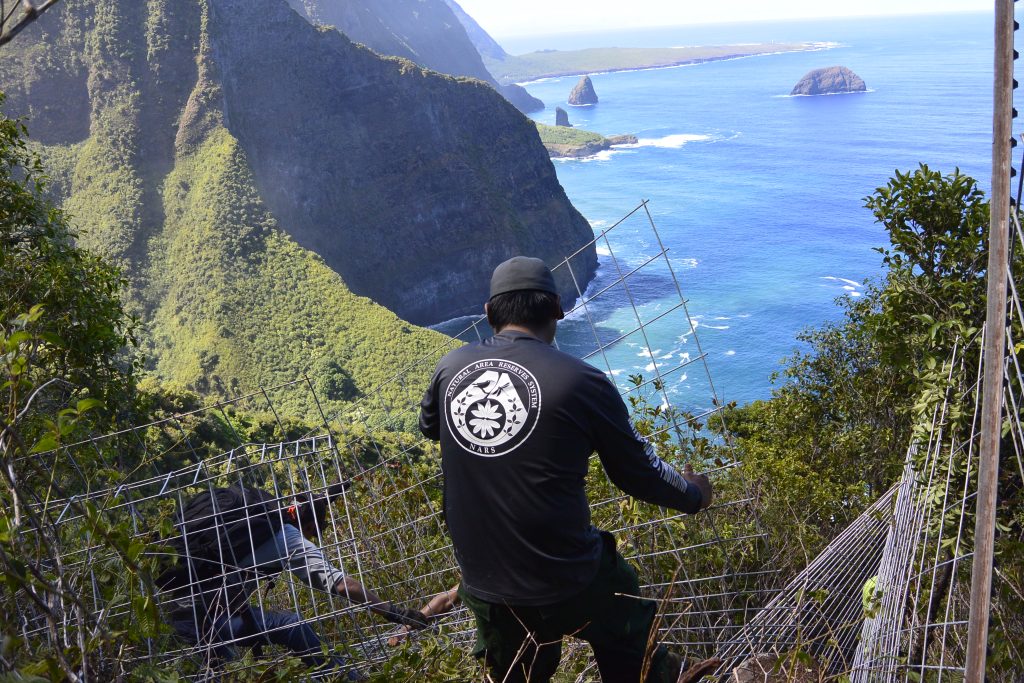 Native Ecosystems Program: Conservation Fence Building on Molokaʻi