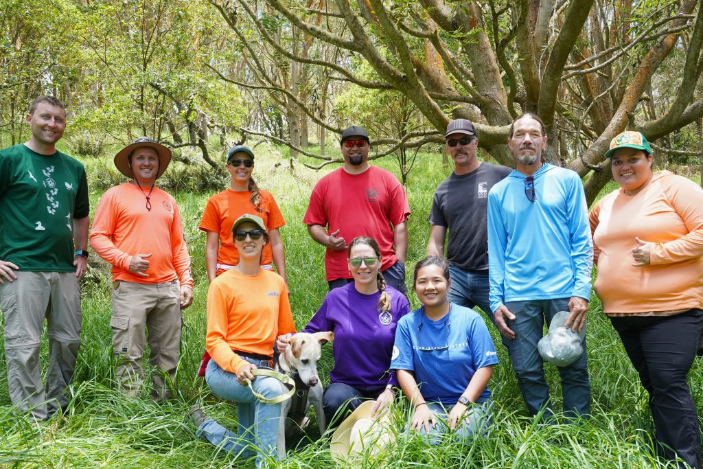 Staff from various programs meet on Hawaiʻi Island to develop an educational product