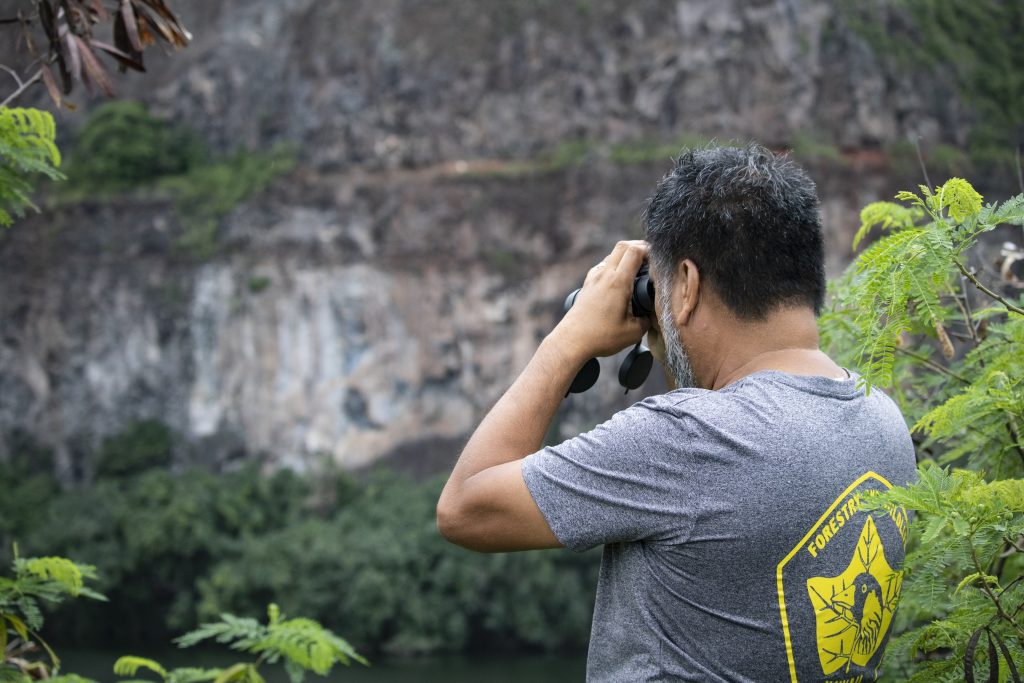Wildlife Program: Waterbird surveys on Oʻahu
