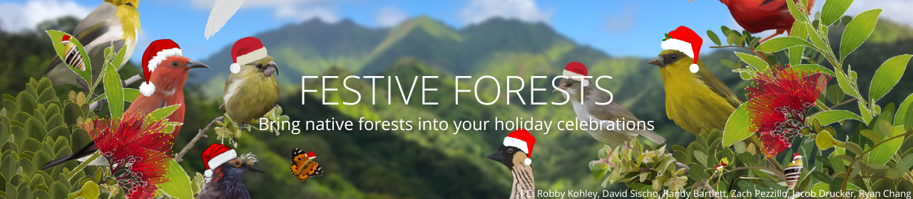 A collage of native species wearing holiday hats