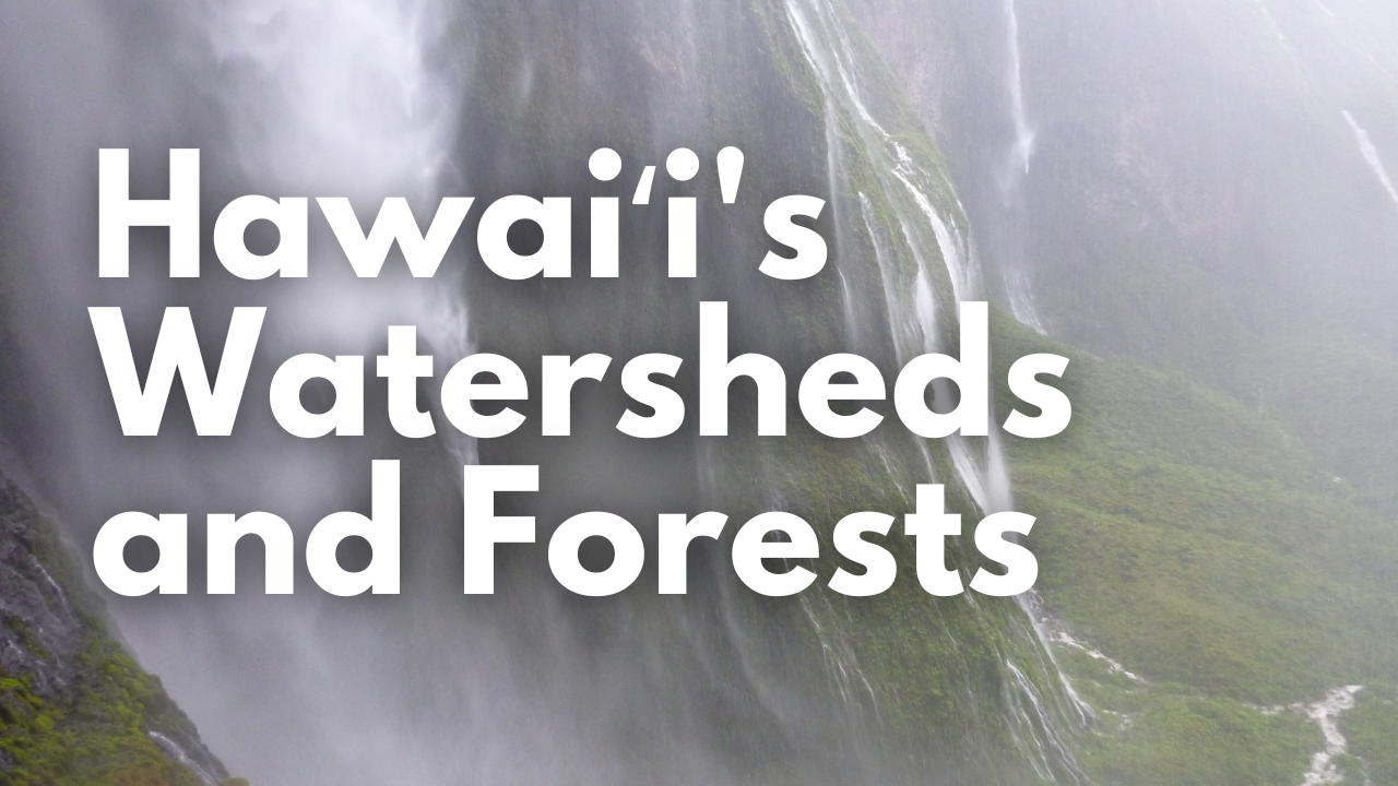 An image of a waterfall