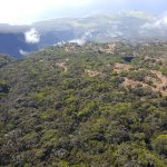 Kīpahulu Forest Reserve