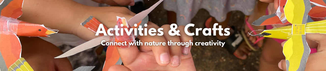 Activities and crafts