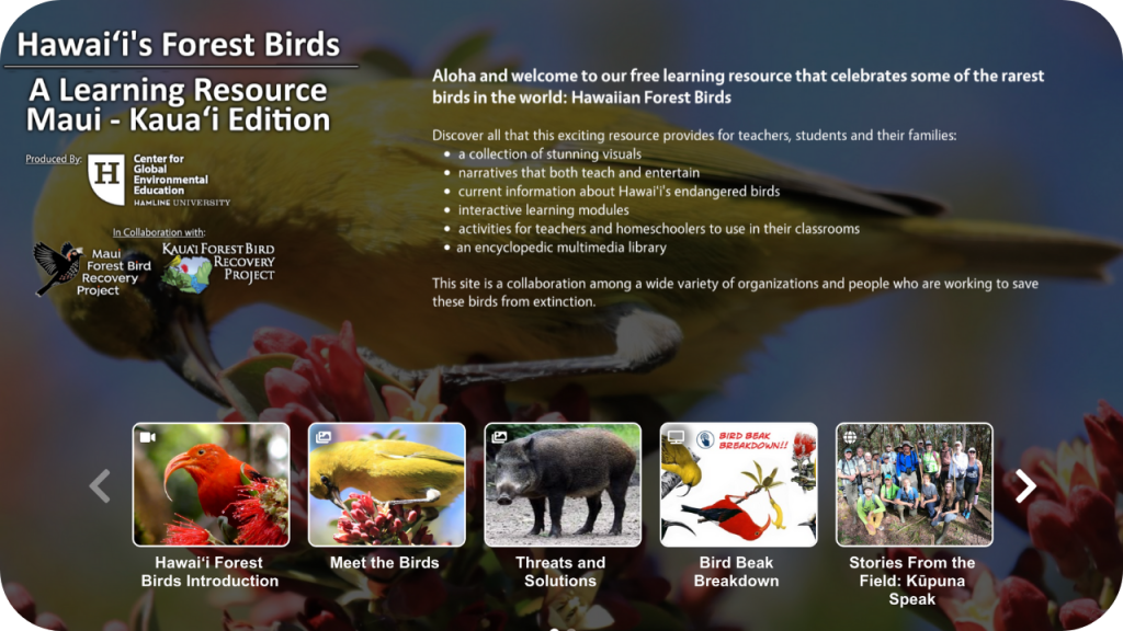 Hamline University Learning Resource