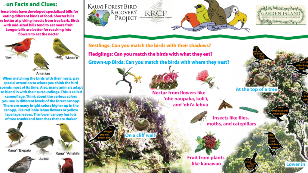 Kauai Forest Bird Matchup Game