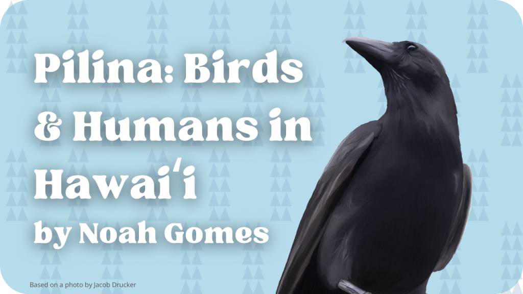 Pilina: Birds and Humans in Hawaiʻi