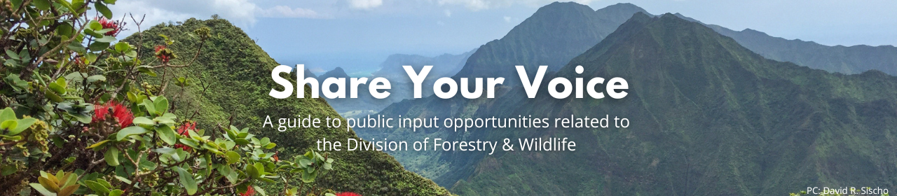 Comment Share Your Voice