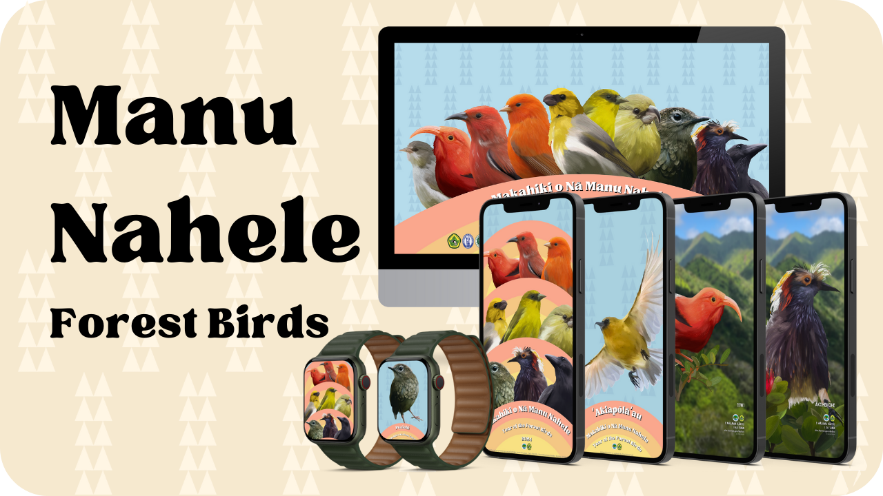 Manu Nahele backgrounds