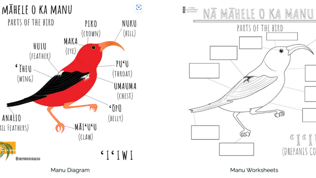 Three Mountain Alliance thumbnail