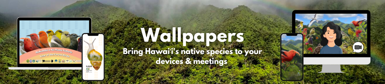 Wallpapers and backgrounds banner