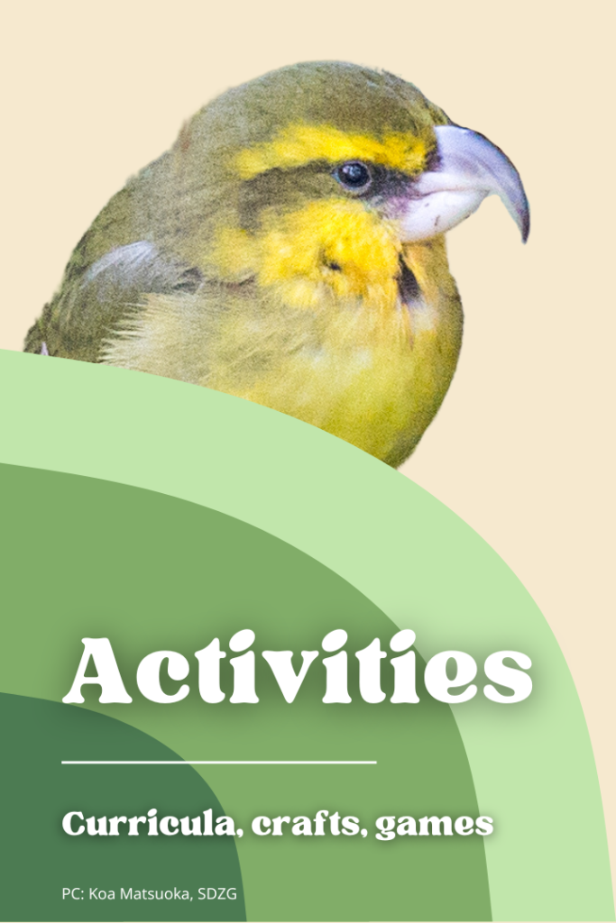 Activities button