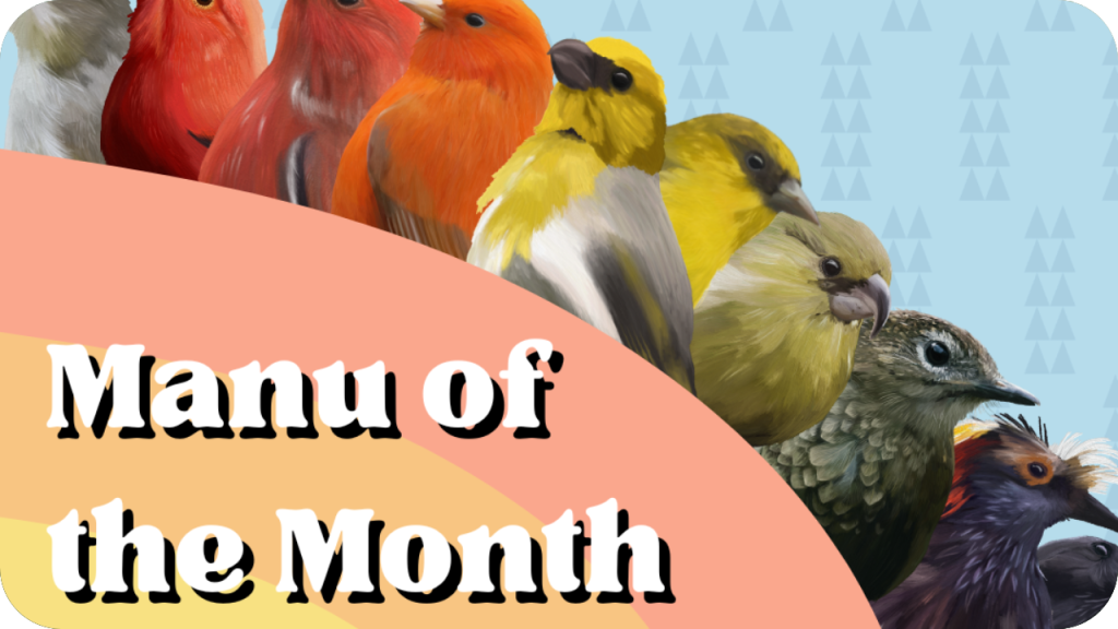 Manu of the Month button