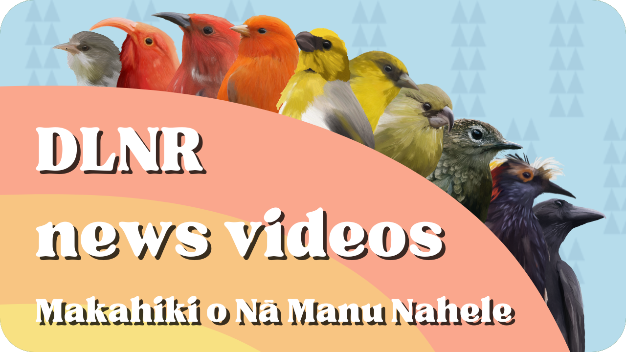 DLNR News Videos