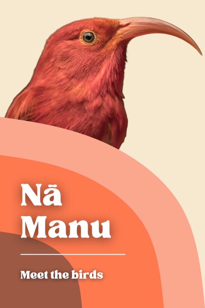 Nā manu button
