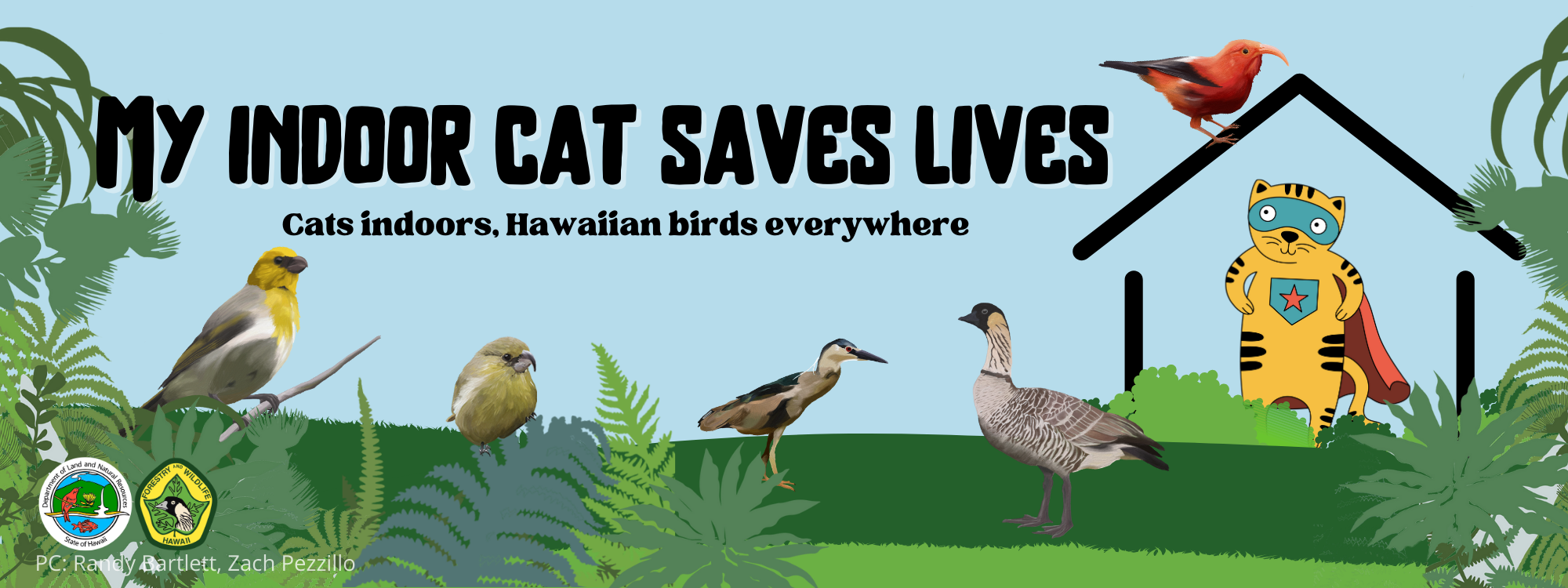 My Indoor Cat Saves Lives bumper sticker