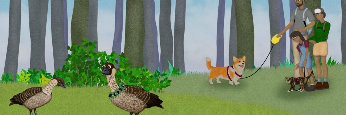 Be a Pono Pet Parent